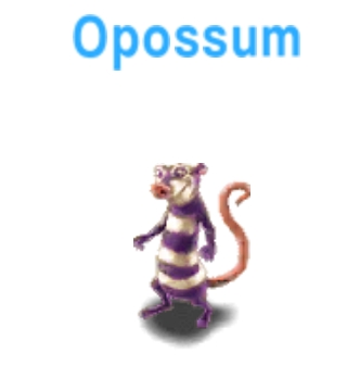 Opossum           